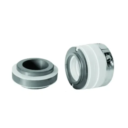 Pusher Mechanical seals T21R