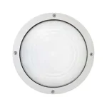 Corona White 14W LED Ceiling & Wall Light – IP66 Round Surface Mount Fixture